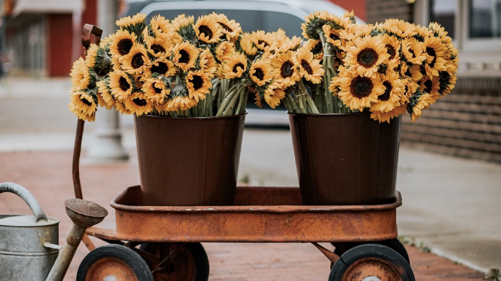 Tucker Floral – Some Unexpected Joy cover image