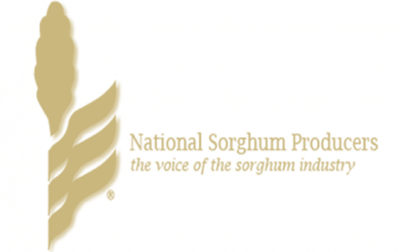 NSP